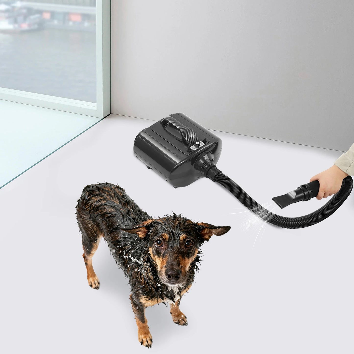 Pet Grooming Hair Dryer Blower Dual Motor 3600W High Power