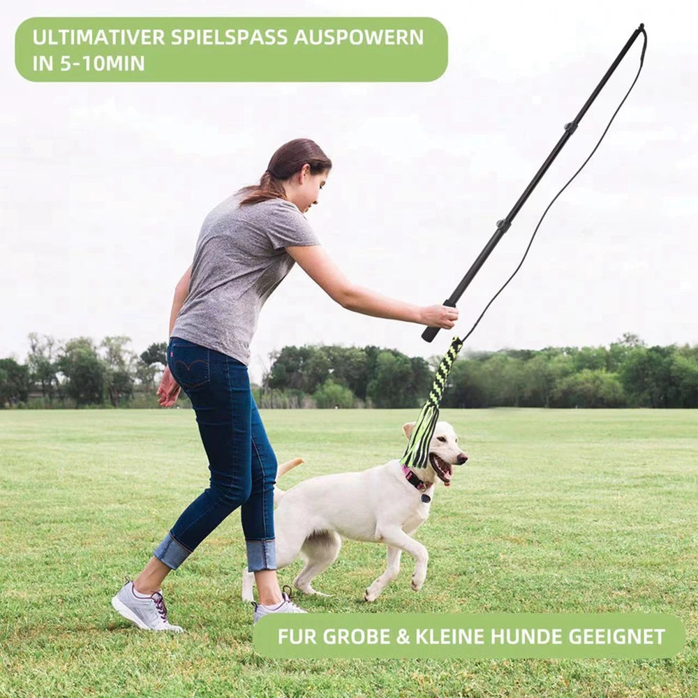 Extendable Flirt Pole Interactive Dog Toy For Outdoor Training