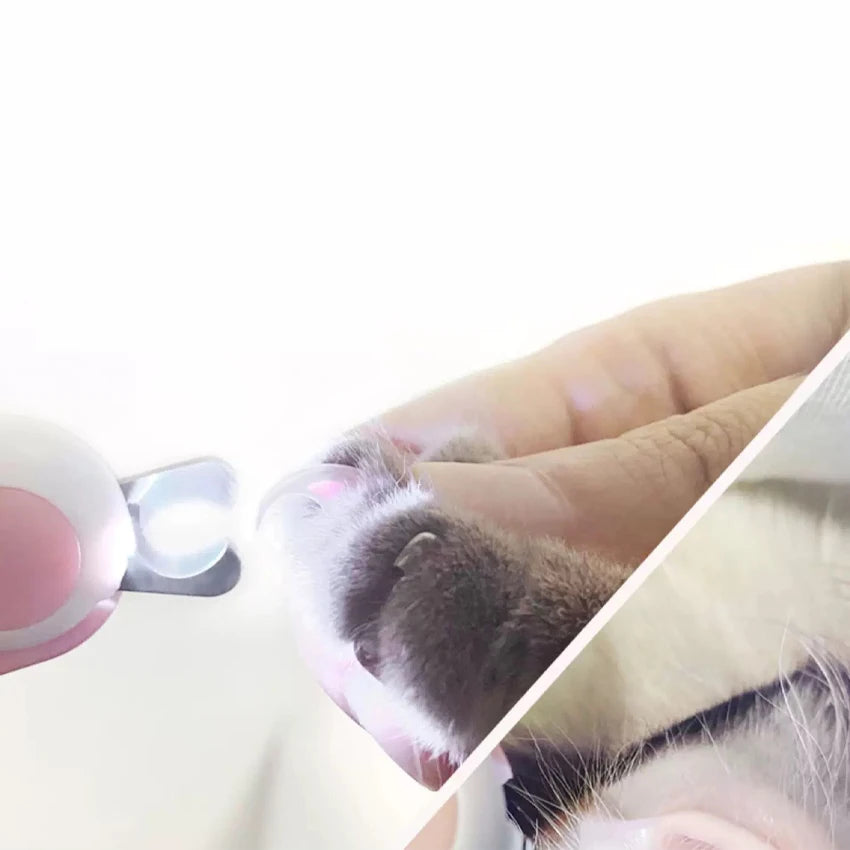 Mini Professional Electric Claw Trimming Knife Pet Nail Clippers Cat and Dog Paw Trimmer mini Animal Grooming Nail Beauty Tools